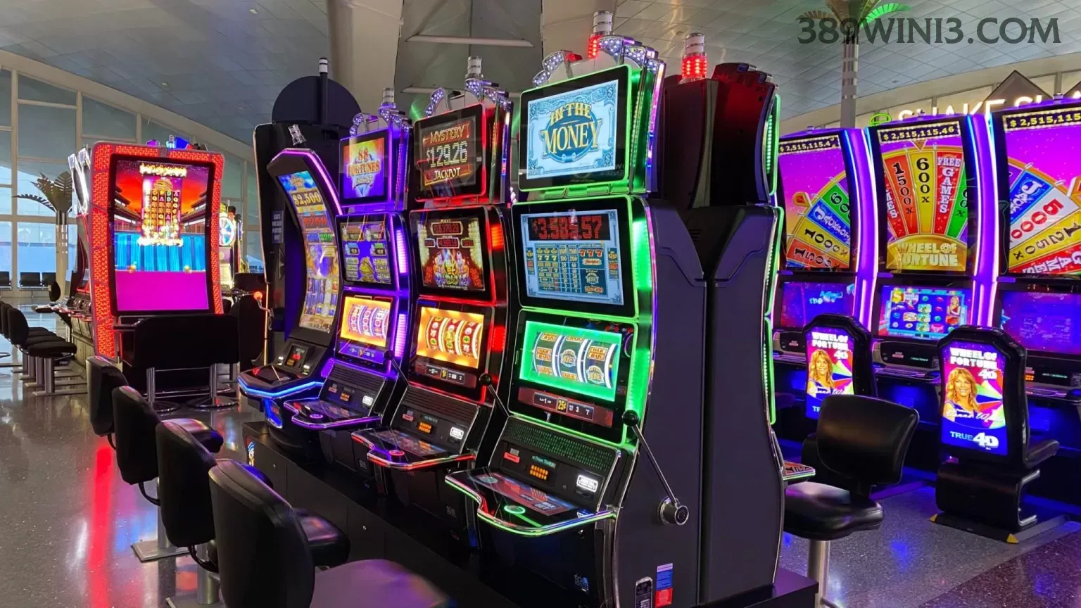 389win aplicativo de jogos para jogadores brasileiros